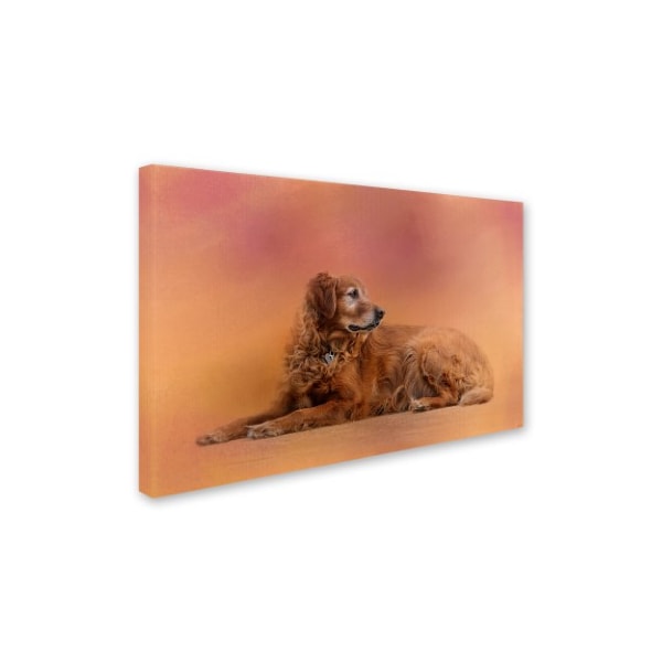 Jai Johnson 'Golden Retriever In The Setting Sun' Canvas Art,12x19